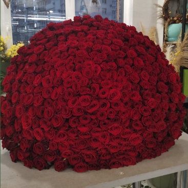 Букет 501 красная роза