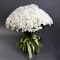 Букет 101 біла хризантема - Фото 2