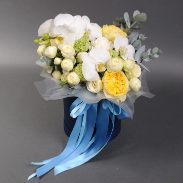 Композиція Цитрус