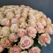 Букет 101 троянда Пінк Мондіаль - Фото 4