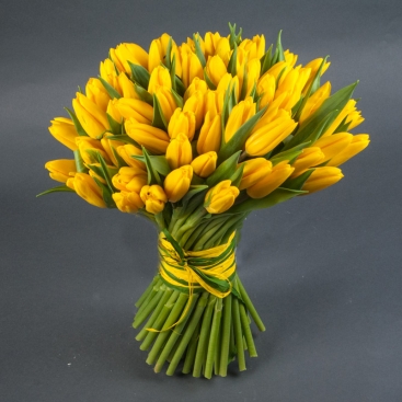 Bouquet of 75 yellow tulips