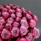 Букет 51 троянда Діп Пьорпл - Фото 4