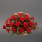 Basket of red carnation