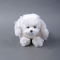 Soft toy Mario the Puppy - Photo 1