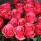 25 троянд Лола - Фото 3