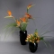 Квіти у вазі Занзібар-Куркума - Фото 1