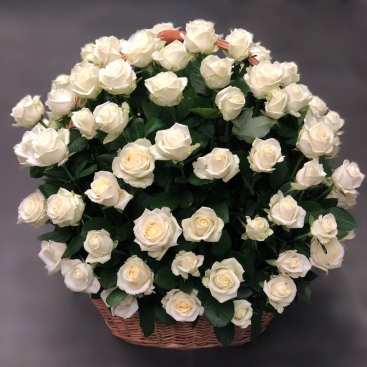 A basket of roses Avalanche mourning