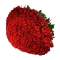Букет із 251 троянди Марічка  - Фото 1