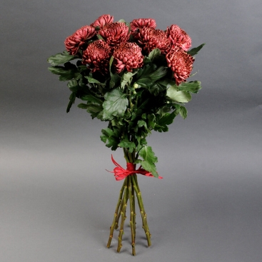 Букет из хризантем бигуди