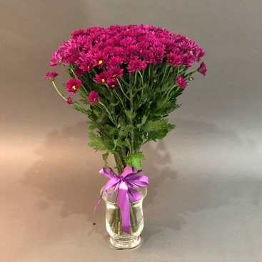 Букет бордових хризантем спрей