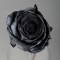 Black painted rose - Photo 3