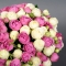 Композиція із троянд Сноу Ворлд і Місті Бабблз - Фото 4