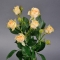 Троянда Олена спрей - Фото 1