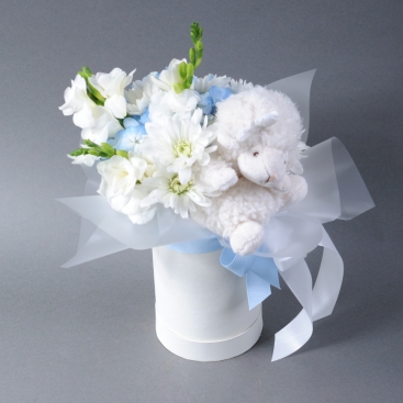 Composition Little Pleasure