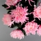 Букет рожевих хризантем - Фото 3