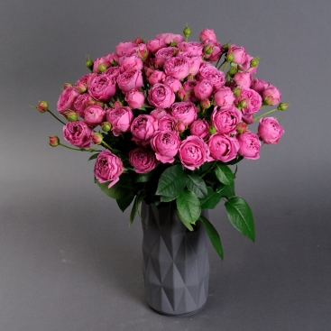 Троянда Місті Бабблз у вазі