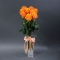 Bouquet of 9 roses Tycoon - Photo 3