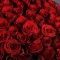 Букет 101 троянда Фрідом - Фото 4