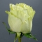 Троянда Лемонад  - Фото 2