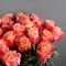 Букет із 25 троянд Кахала - Фото 5