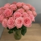 Троянда Софі Лорен - Фото 2