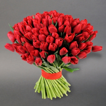 Bouquet of red tulips 101 st