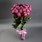 Букет 25 троянд Діп Пьорпл - Фото 1