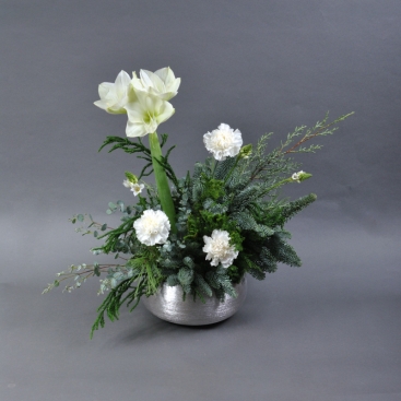 Композиція Зимовий амариліс