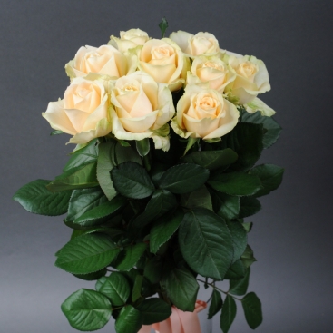 Букет из 9 роз Пич Аваланч