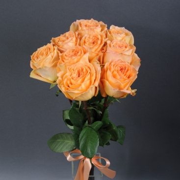 Букет из 9 роз Кэмел