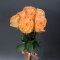 Bouquet of 9 Camel Roses - Photo 1