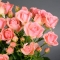Троянда спрей Пінк Ванесса  - Фото 5