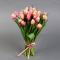 Букет з 25 рожевих тюльпанів - Фото 1