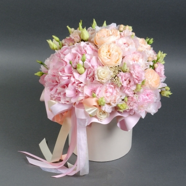 Composition Pink cream