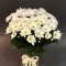 Букет белых хризантем №3 - Фото 1