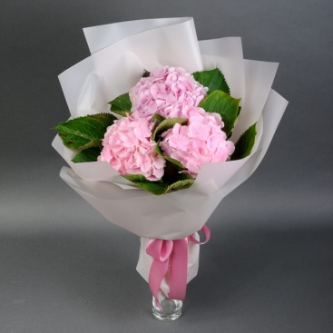 Bouquet of 3 hydrangeas Muse