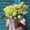 Composition Lime with peonies and hydrangea - Photo 2