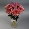 Букет червоно-фіолетових хризантем - Фото 2