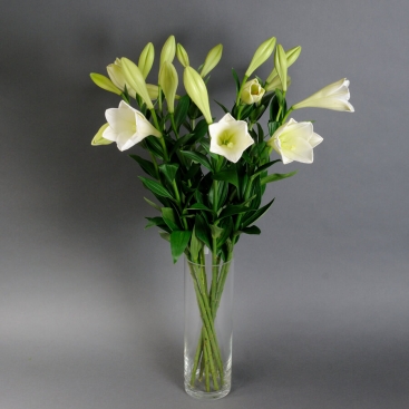 Лілея у вазі