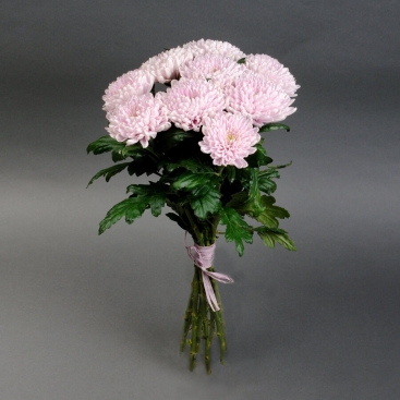 Букет хризантем Зефир