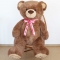 Soft toy Teddy bear Tosha