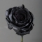 Black painted rose - Photo 2