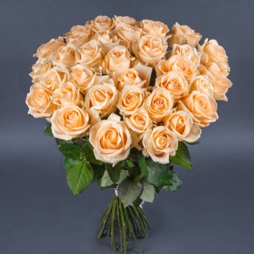 Bouquet of 35 roses Peach Avalanche