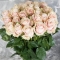 Bouquet of 25 Pink Mondial roses - Photo 2