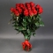 Троянда Марічка - Фото 4