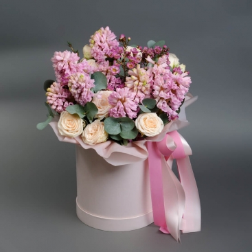 Композиція Софі