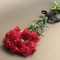 Bouquet of carnations - Photo 1
