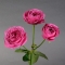 Роза Мисти Бабблз стандарт - Фото 1