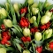 Букет тюльпанов микс Феерия - Фото 3