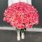 Троянда Джумілія - Фото 3